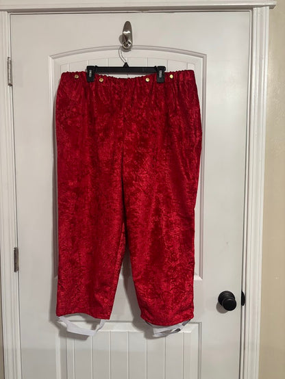Red Crushed Velvet Pants